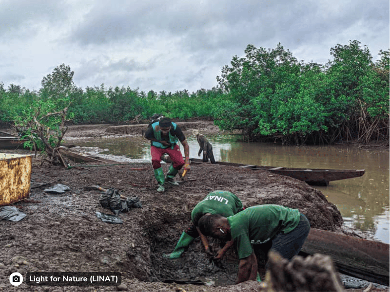 Nature_restoration_Cameroon_Estuary_slider2