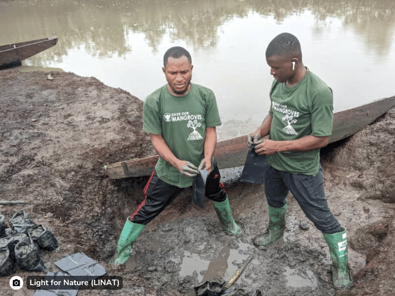 Nature_restoration_Cameroon_Estuary_slider4