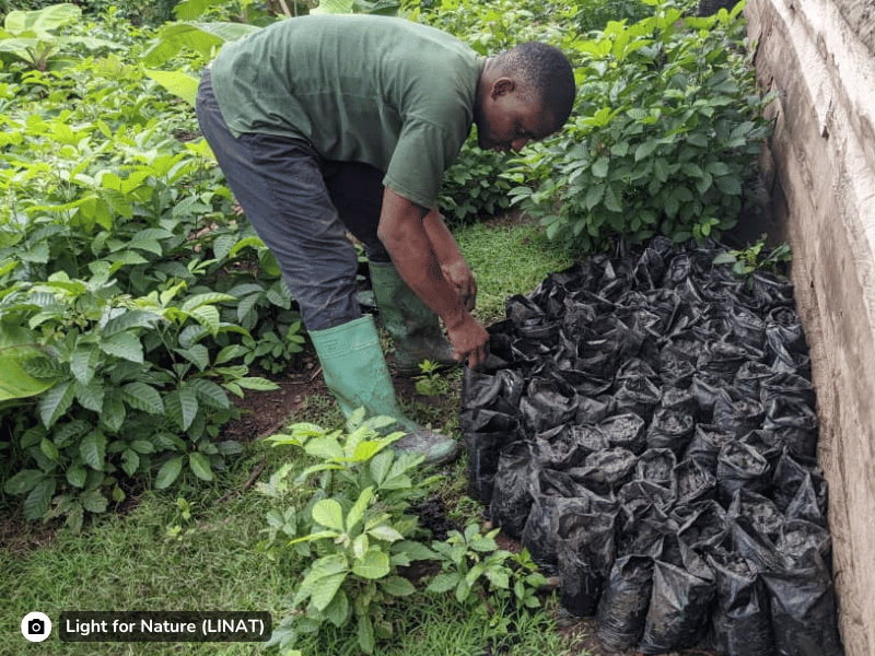 Nature_restoration_Cameroon_Estuary_slider5