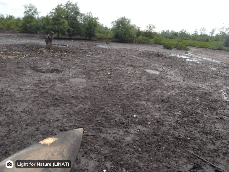 Nature_restoration_Cameroon_Estuary_slider6