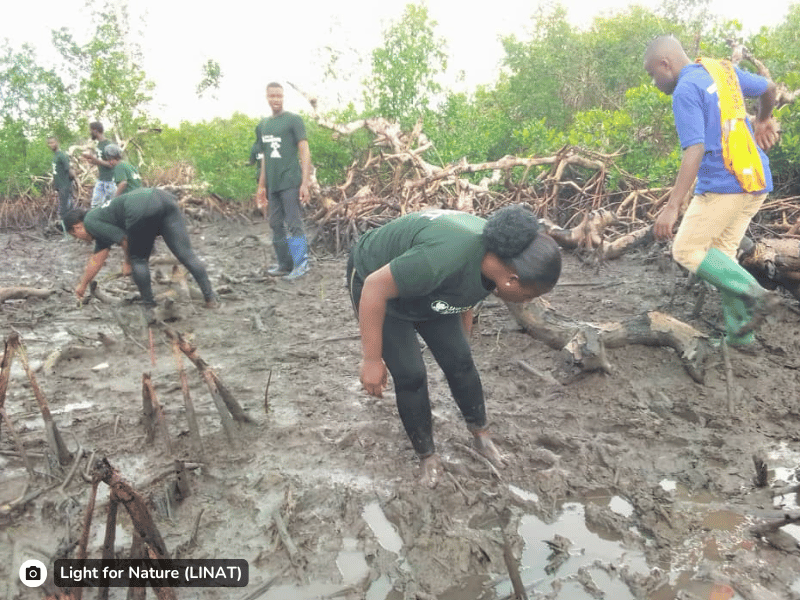 Nature_restoration_Cameroon_Estuary_slider7