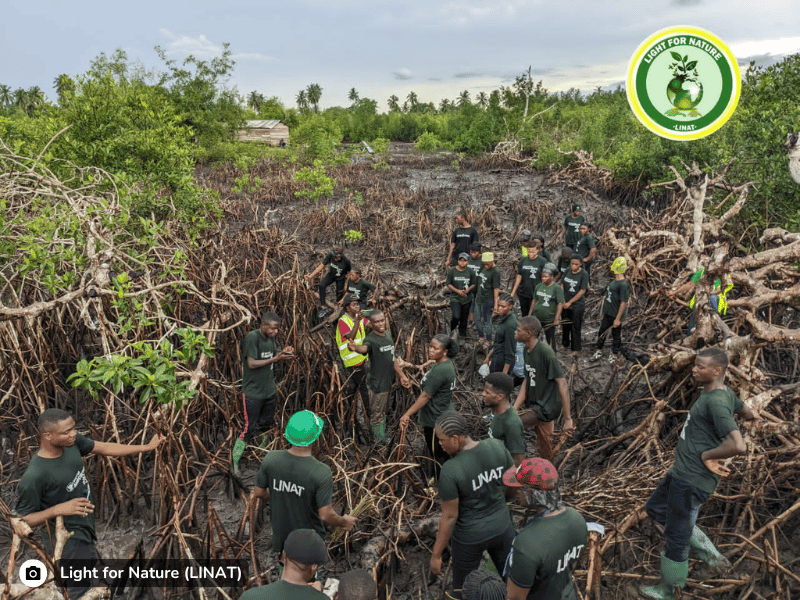 Nature_restoration_Cameroon_Estuary_slider8